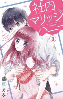 社内マリッジハニー【マイクロ】 3巻