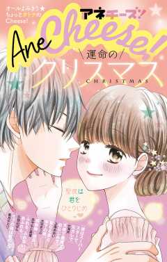 AneCheese! 28巻