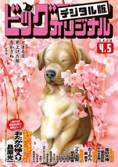 ビッグコミックオリジナル  2020年7号(2020年3月19日発売)