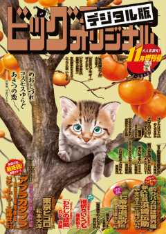 ビッグコミックオリジナル増刊 2020年11月増刊号(2020年10月12日発売)