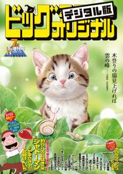 ビッグコミックオリジナル増刊
