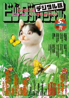 ビッグコミックオリジナル増刊 2019年5月増刊号(2019年4月12日発売)