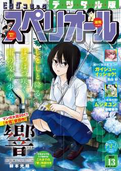 ビッグコミックスペリオール 2017年13号(2017年6月9日発売)