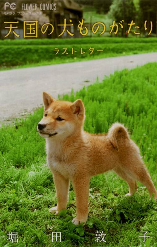 天国の犬ものがたり〜ラストレター〜 堀田敦子 - 小学館eコミック