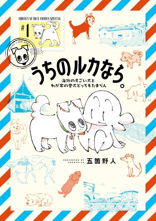 うちのルカなら。 海外のすごい犬とわが家の愛犬どっちもたまらん