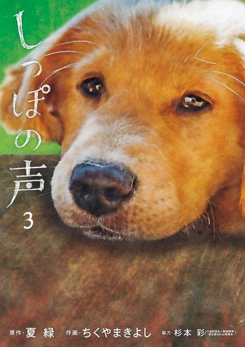 しっぽの声 3巻 夏緑 ちくやまきよし 杉本彩 小学館eコミックストア 無料試し読み多数 マンガ読むならeコミ