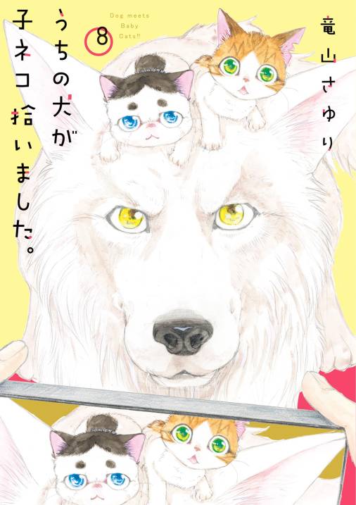 うちの犬が子ネコ拾いました。