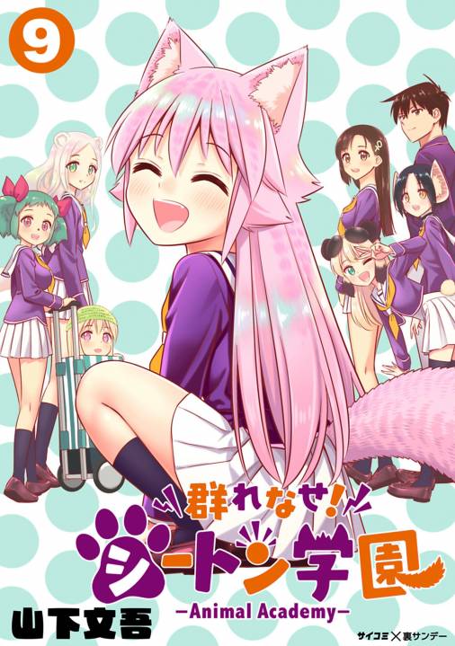 群れなせ！シートン学園-Animal Academy-