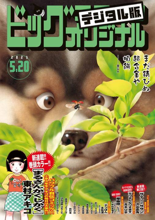 ビッグコミックオリジナル 2023年10号（2023年5月2日発売 ビッグコミックオリジナル編集部 小学館eコミックストア｜無料試し読み