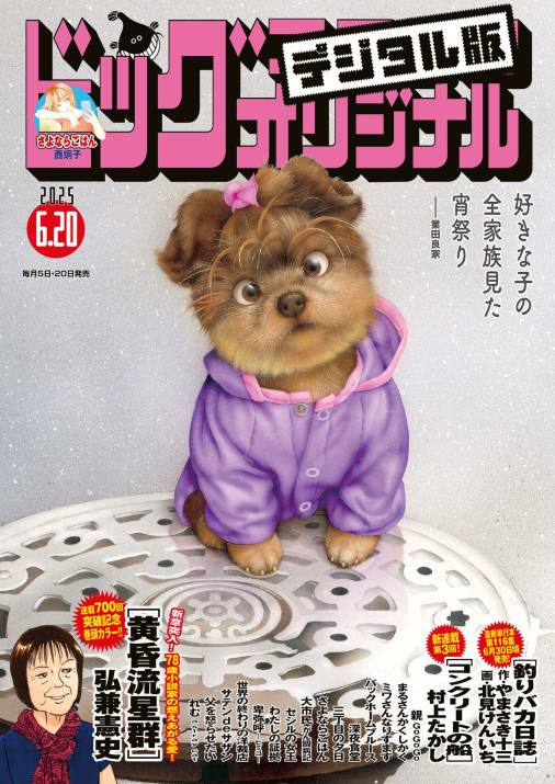 ビッグコミックオリジナル 2025年12号(2025年6月5日発売)