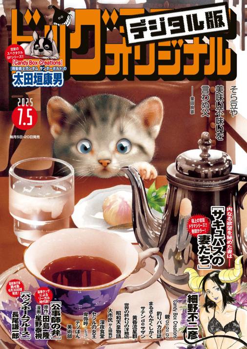 ビッグコミックオリジナル 2025年13号(2025年6月20日発売)