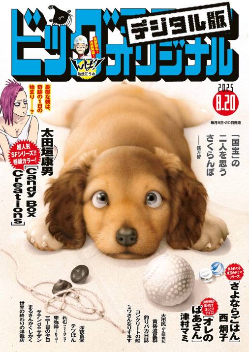 ビッグコミックオリジナル 2025年16号(2025年8月5日発売)
