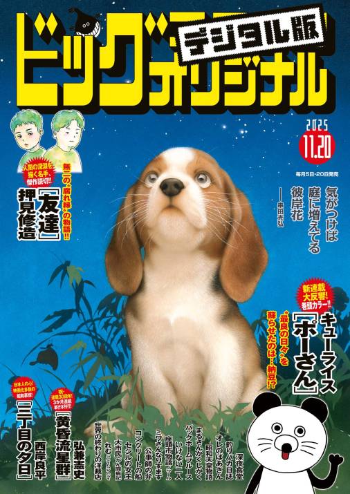 ビッグコミックオリジナル 2025年22号（2025年11月5日発売)