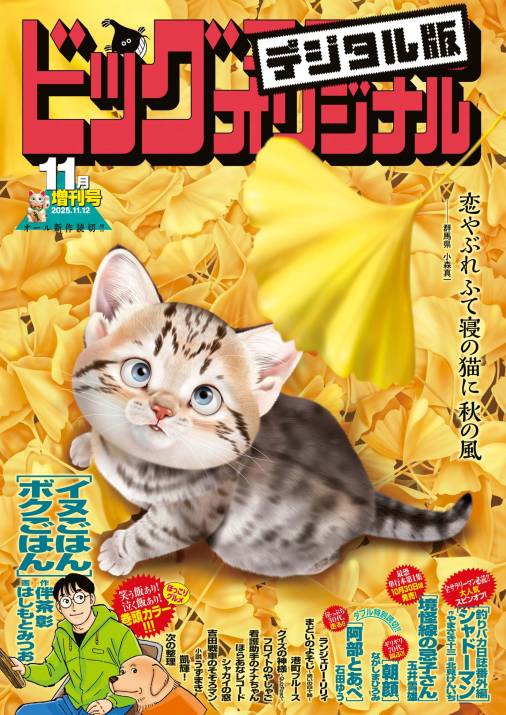 ビッグコミックオリジナル増刊 2025年11月増刊号(2025年10月10日発売)