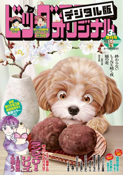 ビッグコミックオリジナル増刊 2026年3月増刊号（2026年2月12日発売）