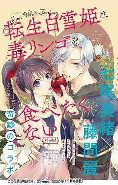 藤間麗 作者 小学館eコミックストア 無料試し読み多数 マンガ読むならeコミ