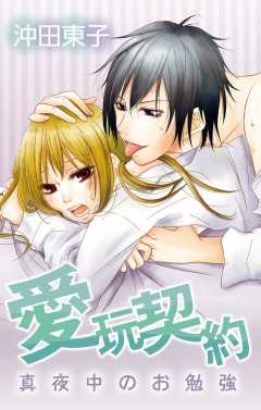 愛玩契約〜真夜中のお勉強〜
