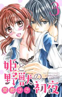 姫と野獣の初夜3