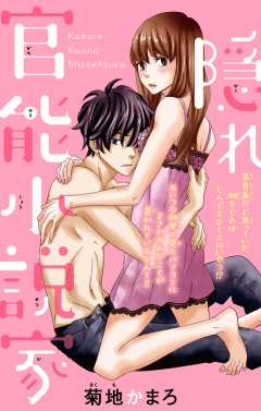 隠れ官能小説家