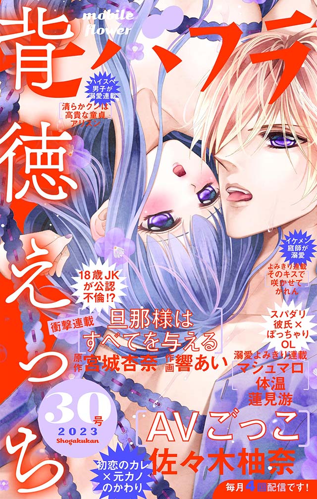 モバフラ30号 超特大号