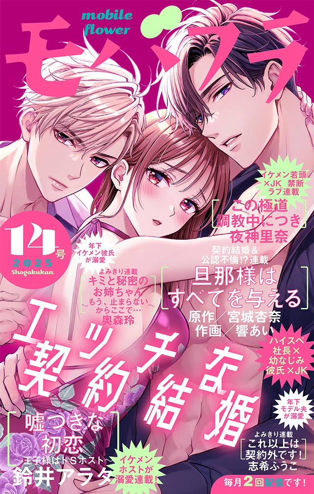モバフラ14号 超特大号表紙