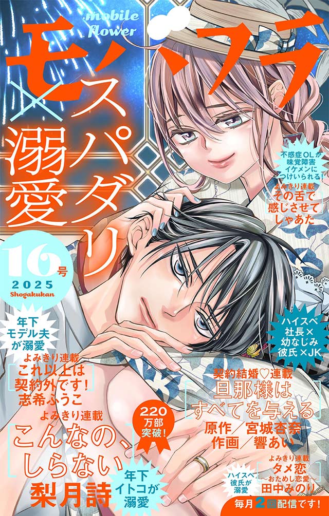 モバフラ16号 超特大号表紙