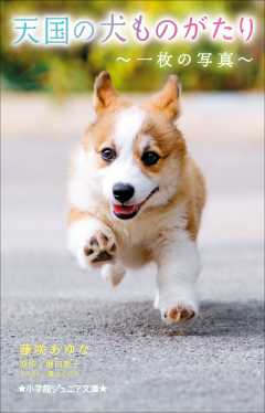 天国の犬ものがたり